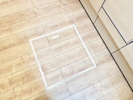 ̑ ݔBꂽ[Xy[XŉƑŜXbL