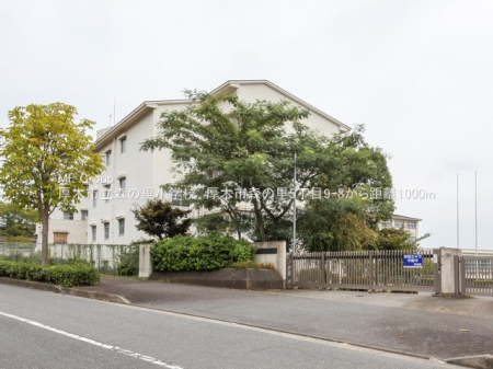 ӊ wZ 1000m ؎sX̗wZ