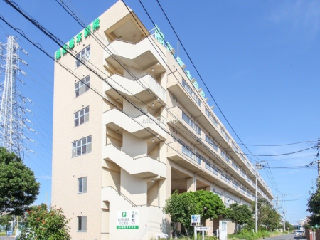 ӊ a@ 1900m Ö@lF Óؕa@