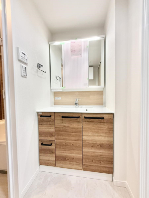 ���ʑ�E���ʏ� ���������̏������X���[�Y�ɂł���L���ł�