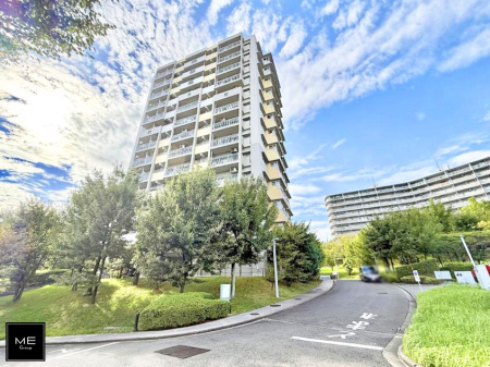 nOώʐ^ OρV̑ASn悢