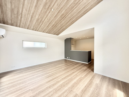 rO VvґA؂ȐlƉ߂Sقǂ