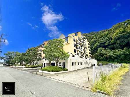 nOώʐ^ OρV̑ASn悢