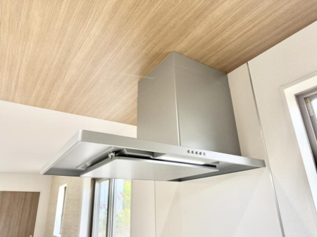 ̑ ݔt[hɕĂׁACɗUAIɔrł܂