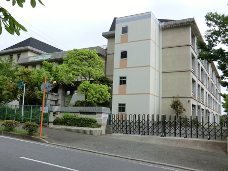 ӊ wZ 500m ؎sX̗wZ