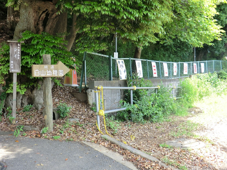 ӊ ctEۈ牀 500m lRct