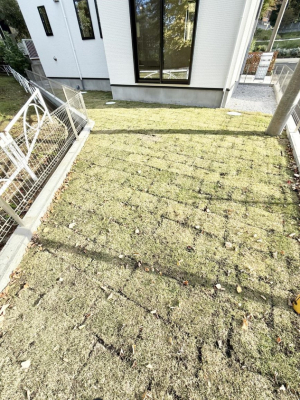 ̑ OρG߂̈ڂ낢A͋C̉O