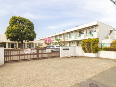 ӊ wZ 500m ͌swZtwZ