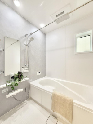 ���� �����������������F�����̕ǖʁA������芰����o�X���[��