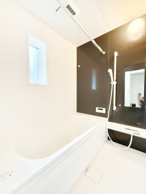 ���� �����������������F�����̕ǖʁA������芰����o�X���[��