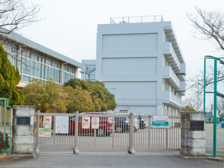 ӊ wZ 700m CVs򋴏wZ