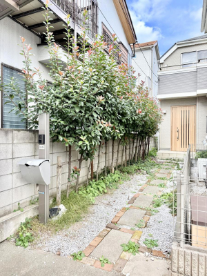  Oρ VvŔAZ܂̑ۂʂ錺ւł