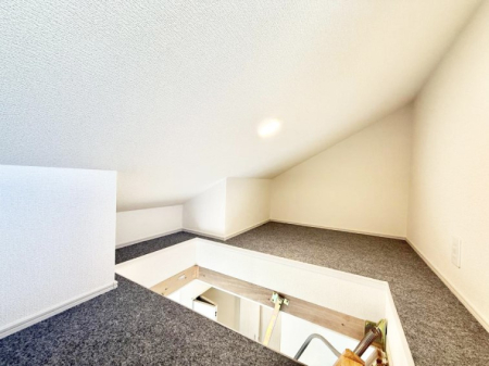 ���[ ����