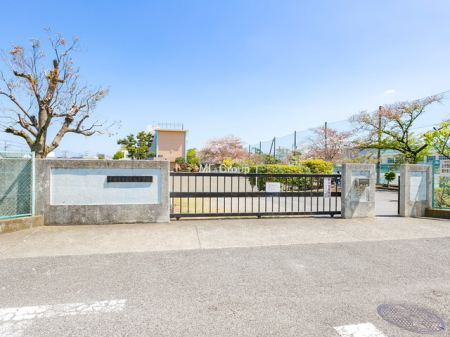 ӊ wZ 80m ˎsuwZ(wZߐڃGAŁAƑ̈SJ^`)