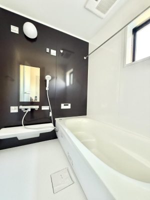 ���� ����