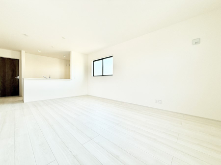 ���̑����� ����