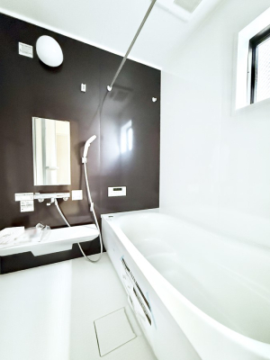 ���� ����