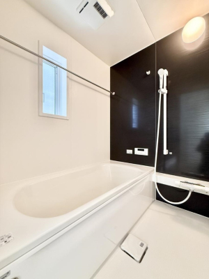 ���� �����������������F�����̕ǖʁA������芰����o�X���[��