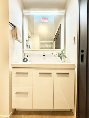 ���ʑ�E���ʏ� ���������̏������X���[�Y�ɂł���L���ł�