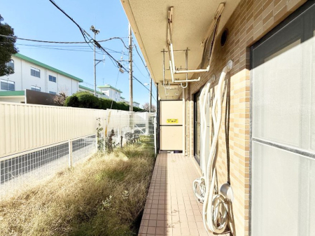 ���̑� ����