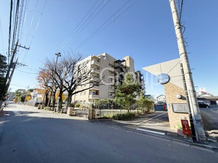 ���n�O�ώʐ^ �O�ρ��Ƒ��݂�Ȃ��Ί�ŉ߂�����A���S���̂���Z�܂�