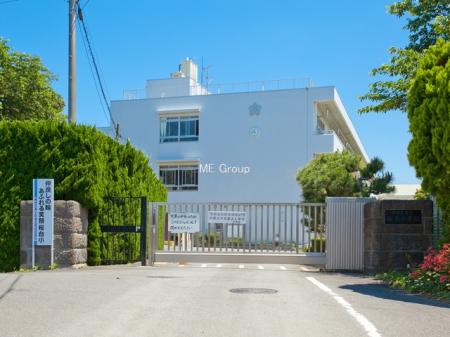 ӊ wZ 290m ɐs䏬wZ