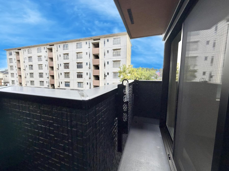 oRj[  𒭂߂ȂAقƈꑧʂȋ