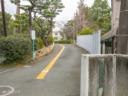 ӊ wZ 800m s򏬊wZ