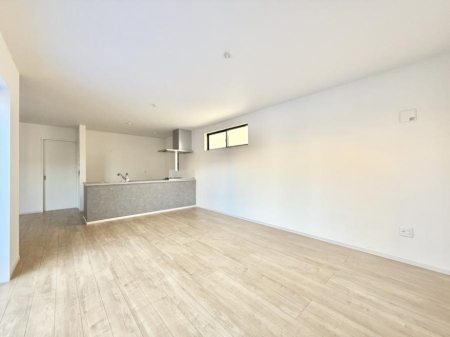 ���̑����� ����