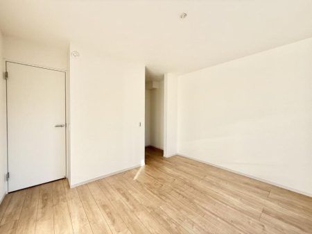 ���̑����� ����