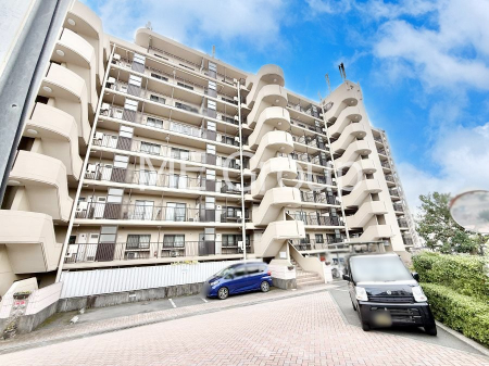 nOώʐ^ OρV炵n܂ꏊŁAƑJ[߂