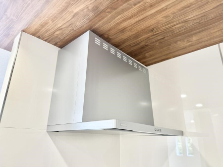 ̑ ݔ̏CCɗUAIɔrł܂B