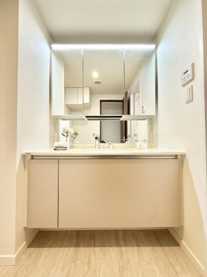 ���ʑ�E���ʏ� ������������������A�C�����悭�g���܂�