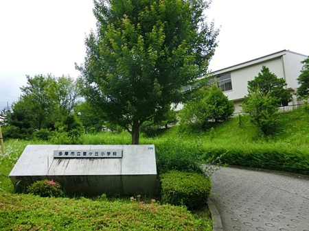 ���ӊ� ���w�Z 1500m �����s���L���u���w�Z