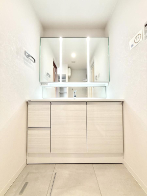 ���ʑ�E���ʏ� �������������Ő������̂�����ʏ�