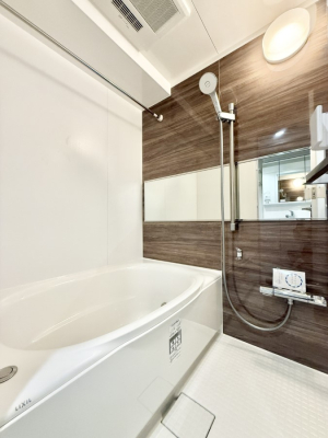 ���� �����������������F�����̕ǖʁA������芰����o�X���[��