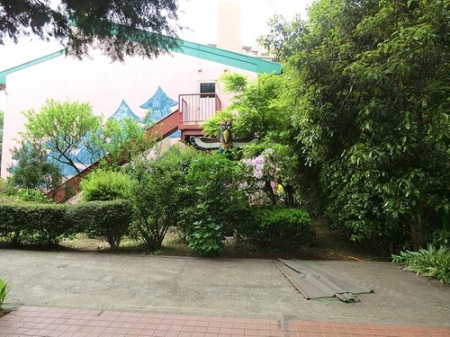 ӊ ctEۈ牀 800m vXN[tct