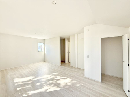 ���̑����� ����