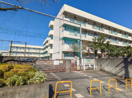 ӊ wZ 500m csR菬wZ