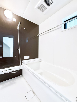 ���� �����������������F�����̕ǖʁA������芰����o�X���[��