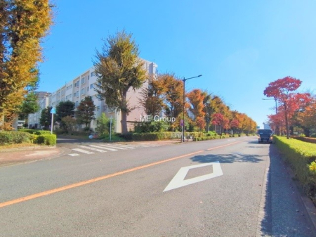 nOώʐ^ OρV̑ASn悢