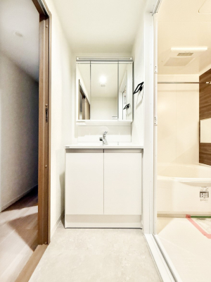 ���ʑ�E���ʏ� ���������̏������X���[�Y�ɂł���L���ł�