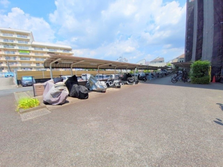 ̑ Oρ~nɒ֏ĂA]Ԃ̗pX[Ył