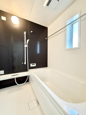 ���� ����