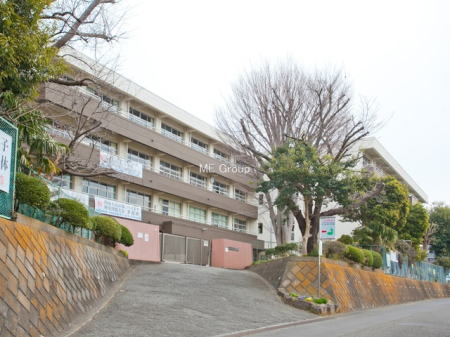 ӊ wZ 1000m CVsJwZ