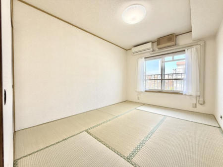 ���̑����� ����