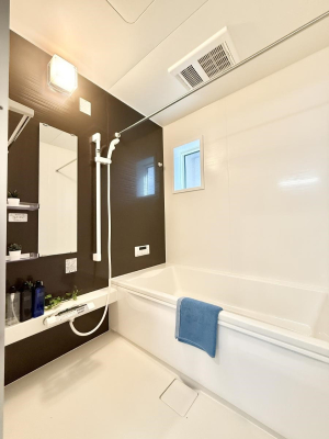 ���� �����������������F�����̕ǖʁA������芰����o�X���[��