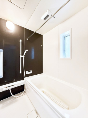 ���� �����������������F�����̕ǖʁA������芰����o�X���[��