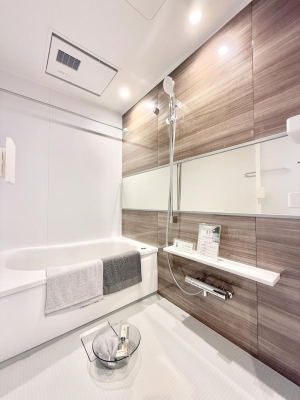 ���� �����������������F�����̕ǖʁA������芰����o�X���[��