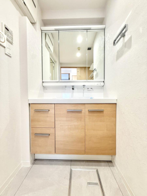 ���ʑ�E���ʏ� �������������Ő������̂�����ʏ�